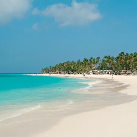 Divi Aruba All Inclusive-2